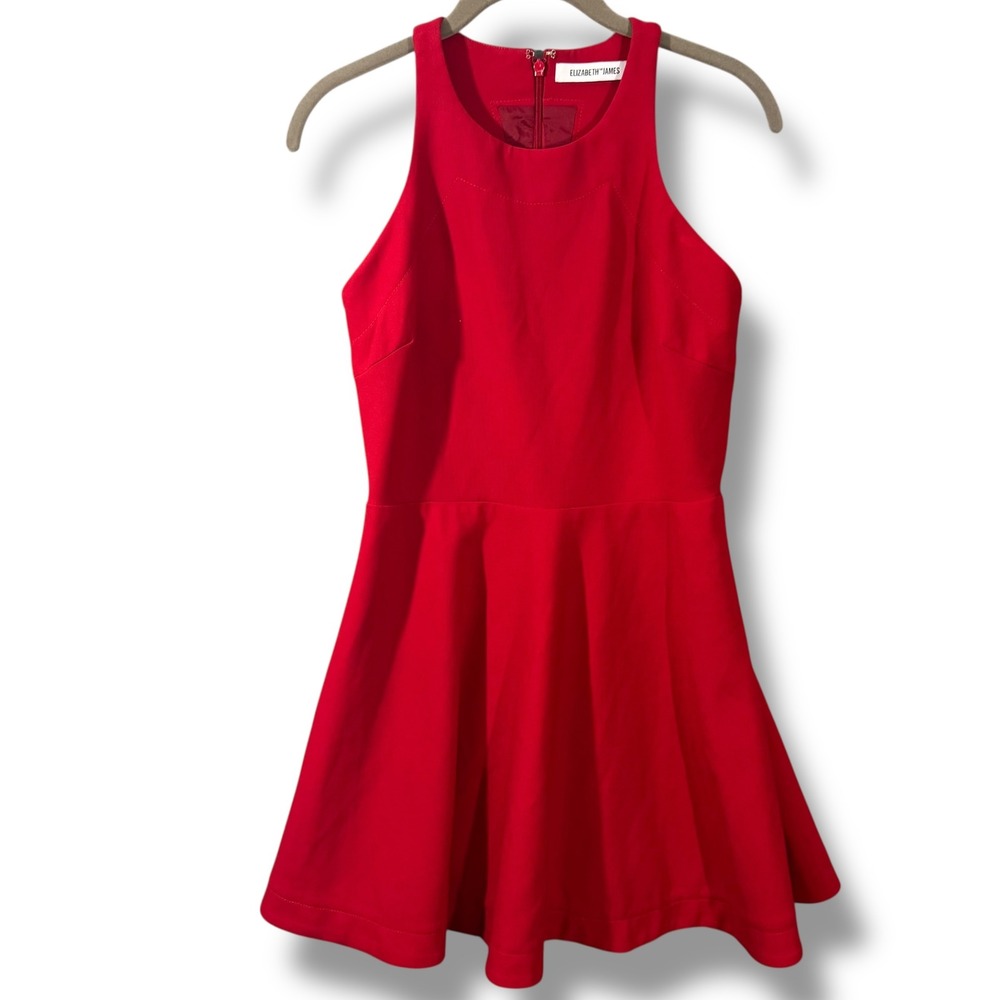 Elizabeth and James Fit and Flare Red Skater Dress Size 4